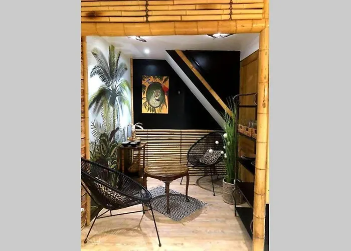 Appartement Cosy Avec Baignoire Balneo